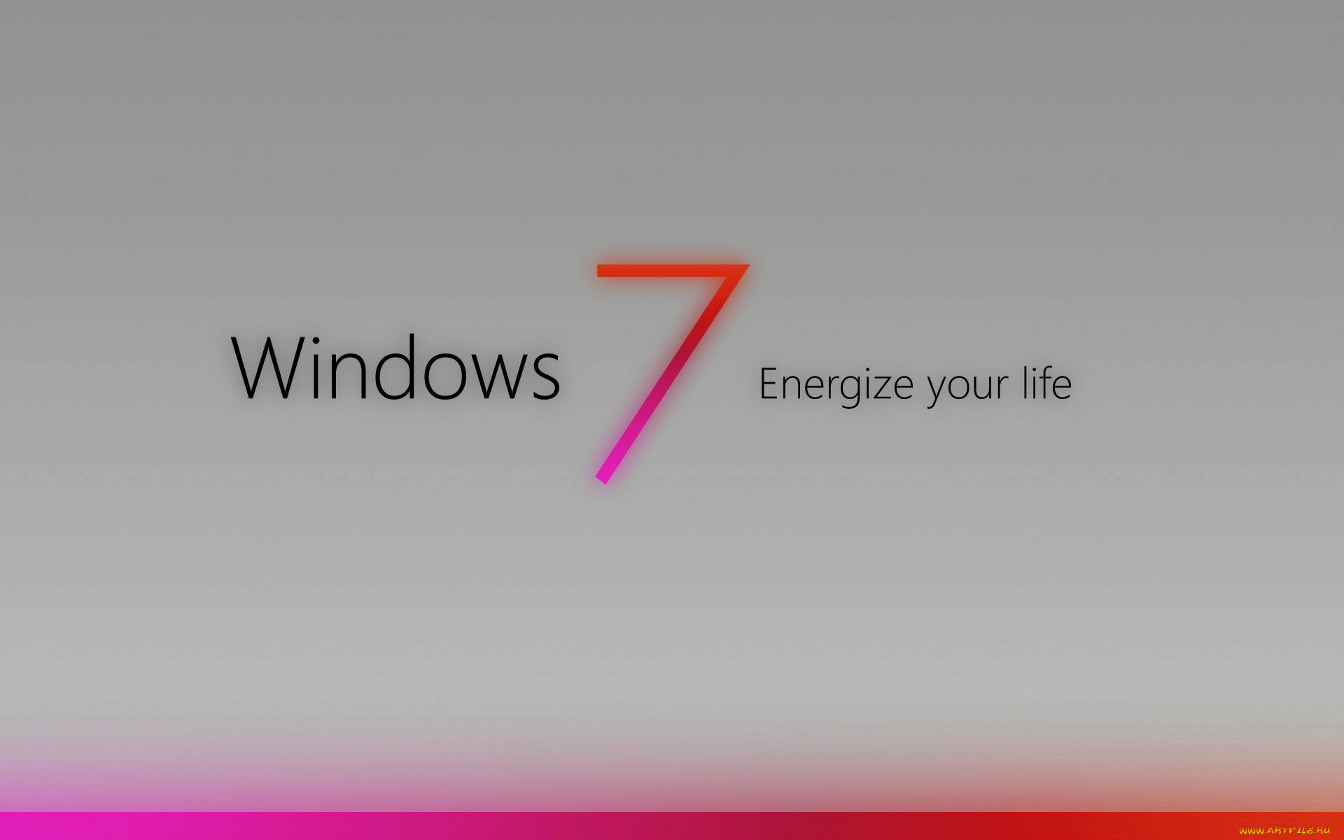 , windows, vienna, , 